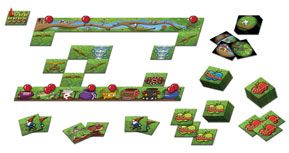 Cazamanzanas – Juego de Velocidad Visual con Dados y Tarjetas de Frutas | +6 Años, 2–6 Jugadores | Estimula la Atención y Coordinación Visual en Actividades Dinámicas y de Activación Cognitiva