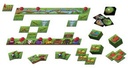 Cazamanzanas – Juego de Velocidad Visual con Dados y Tarjetas de Frutas | +6 Años, 2–6 Jugadores | Estimula la Atención y Coordinación Visual en Actividades Dinámicas y de Activación Cognitiva
