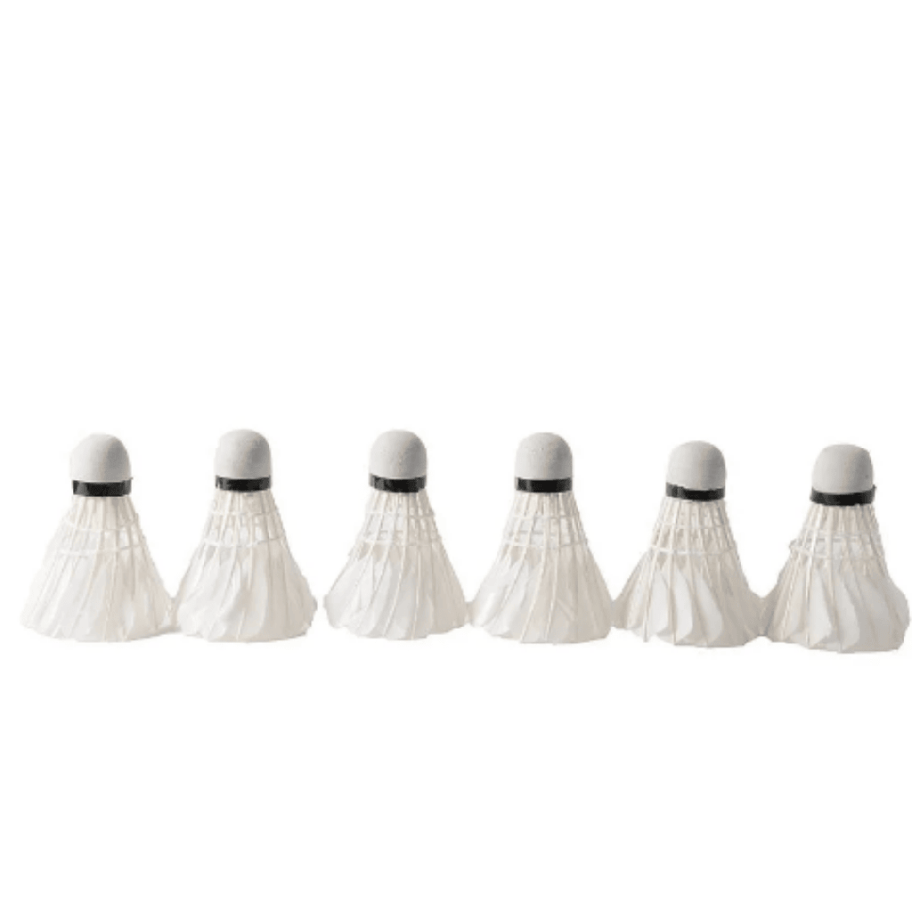 Volants de bàdminton blancs: pack de 6 plomes per a joc i entrenament (6+)