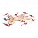 Team Spirit: juego cooperativo de equilibrio con cuerdas (5+)
