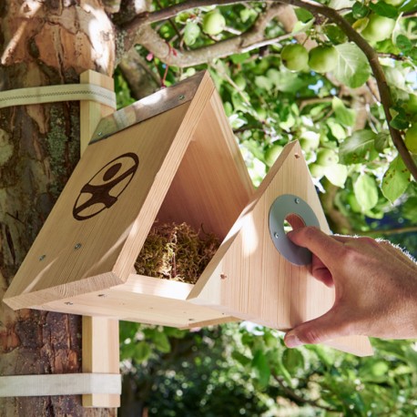 Menjadora per a Ocells – Kit DIY amb Elements Naturals Terra Kids | Des de 6 Anys | Ideal per a Projectes Educatius de Biodiversitat i Consciència Ecològica en Espais Exteriors